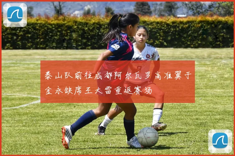 泰山队前往成都阿尔瓦罗高准翼于金永缺席王大雷重返赛场