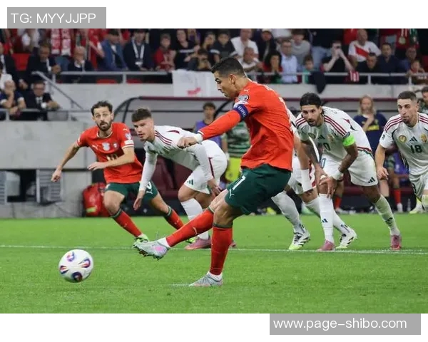 近四届欧预赛与世预赛射手榜分析凯恩领衔C罗紧随其后